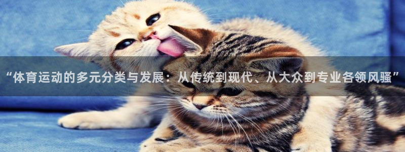 火凤体育回放：“体育运动的多元分类与发展：从传统到现代、从大众到专业各领风骚”