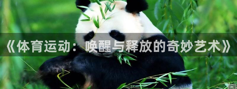 火凤体育：《体育运动：唤醒与释放的奇妙艺术》